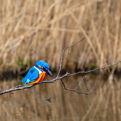 MOC - 173337 Kingfisher Klemmbausteine - LesDiy - Klemmbausteine