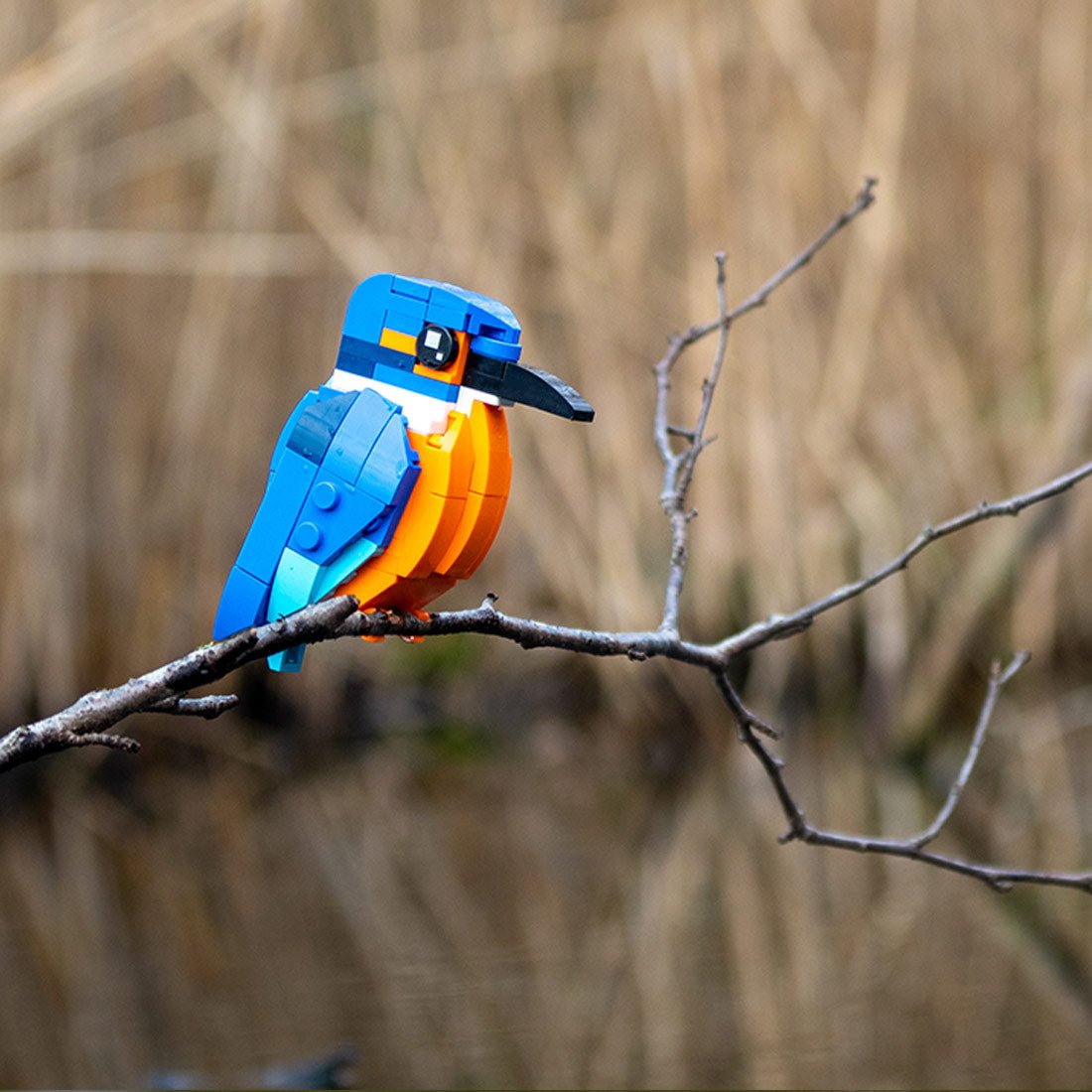 MOC - 173337 Kingfisher Klemmbausteine - LesDiy - Klemmbausteine