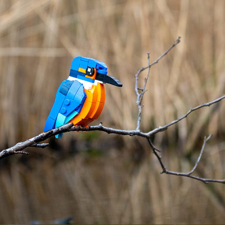 MOC - 173337 Kingfisher Klemmbausteine - LesDiy - Klemmbausteine