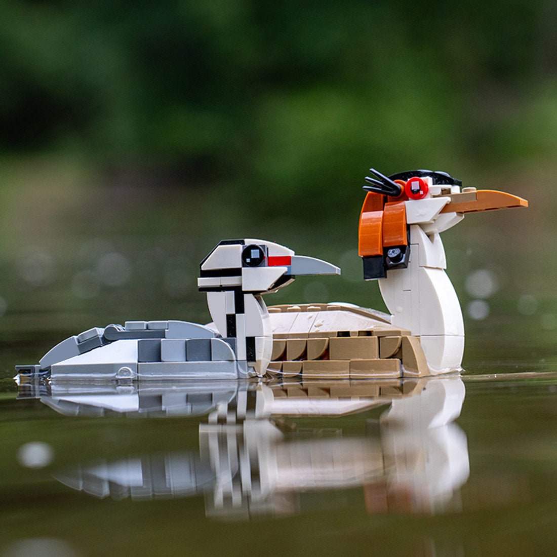 MOC - 175055 Great crested grebe and chick Klemmbausteine - LesDiy - Klemmbausteine