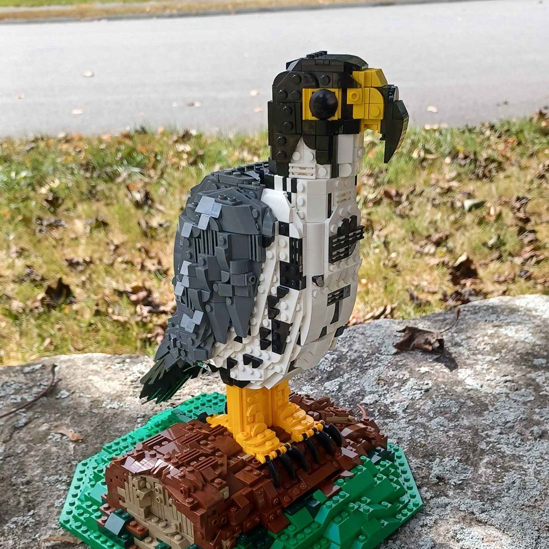 MOC-187353 Peregrine falcon Klemmbausteine | LesDiy